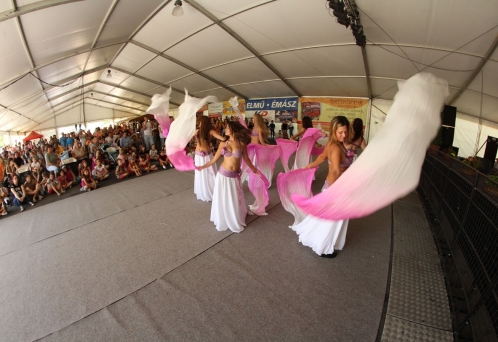 Battai Napok 2012
