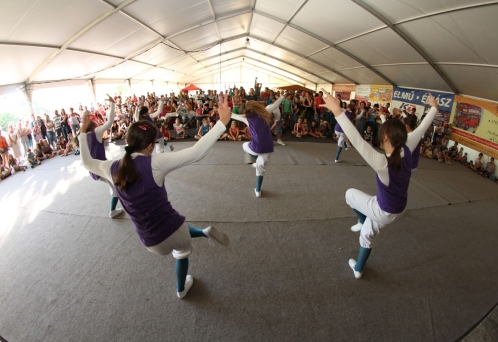 Battai Napok 2012